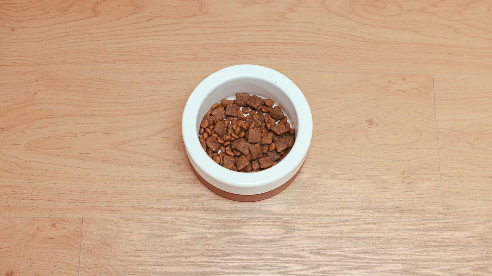 Seen from above, a white bowl full of untouched dry food on a wooden floor.