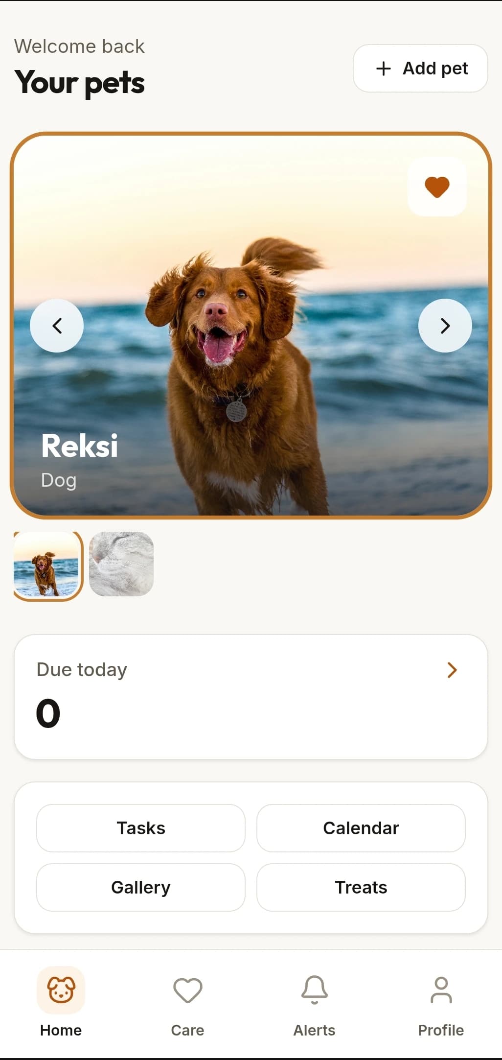 The mypet care home screen on a phone: a dog called Reksi, a row of pets to switch between, and tiles for tasks, calendar, gallery and treats.
